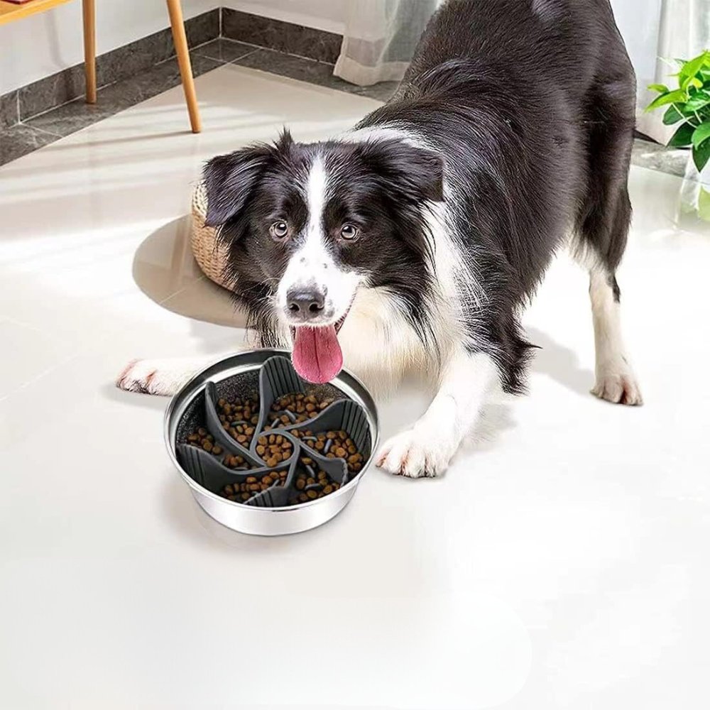 SpiralSlow • Dog Feeding Bowl Slow - Dog Feeding Bowl Slow - BowLift