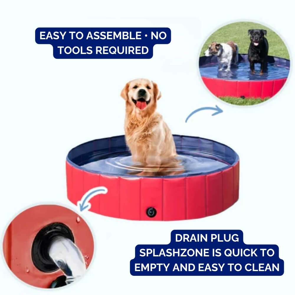 SplashZone • Dog Pool - Dog Pool - BowLift