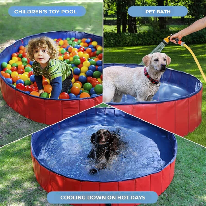 SplashZone • Dog Pool - Dog Pool - BowLift