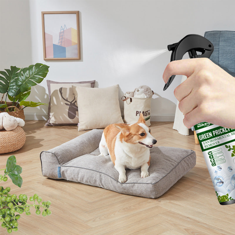 BowLift | Powerful Mite Remover Spray