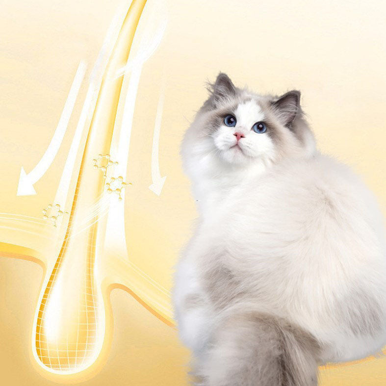 BowLift | Pet Shiny and Smooth Hair Care Conditioner