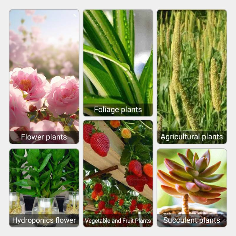 BowLift | Fast-Acting Nutrient Solution for Plants