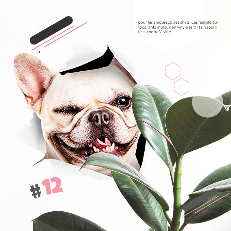 BowLift | 3D stickers with cats and dogs that can be removed