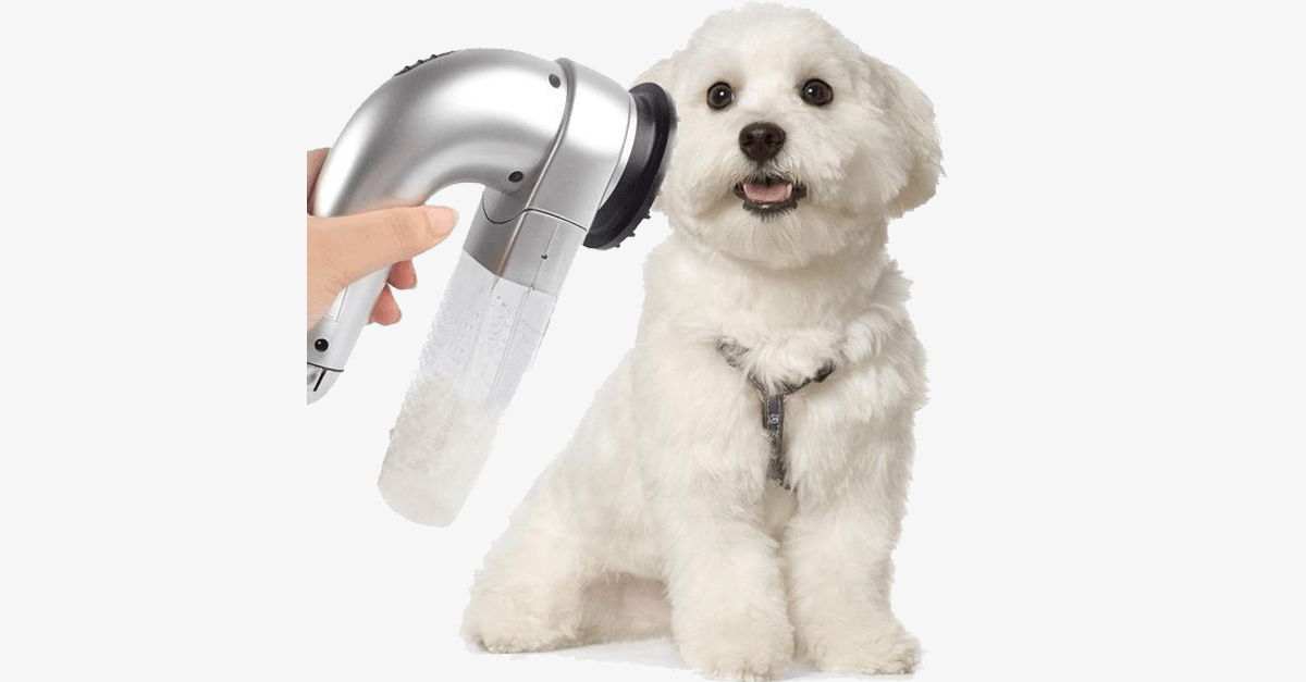 BowLift | Pet Vacuum Groomer