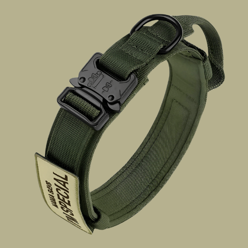 BowLift | Adjustable Dog Collar Set for Adventures and Daily Training