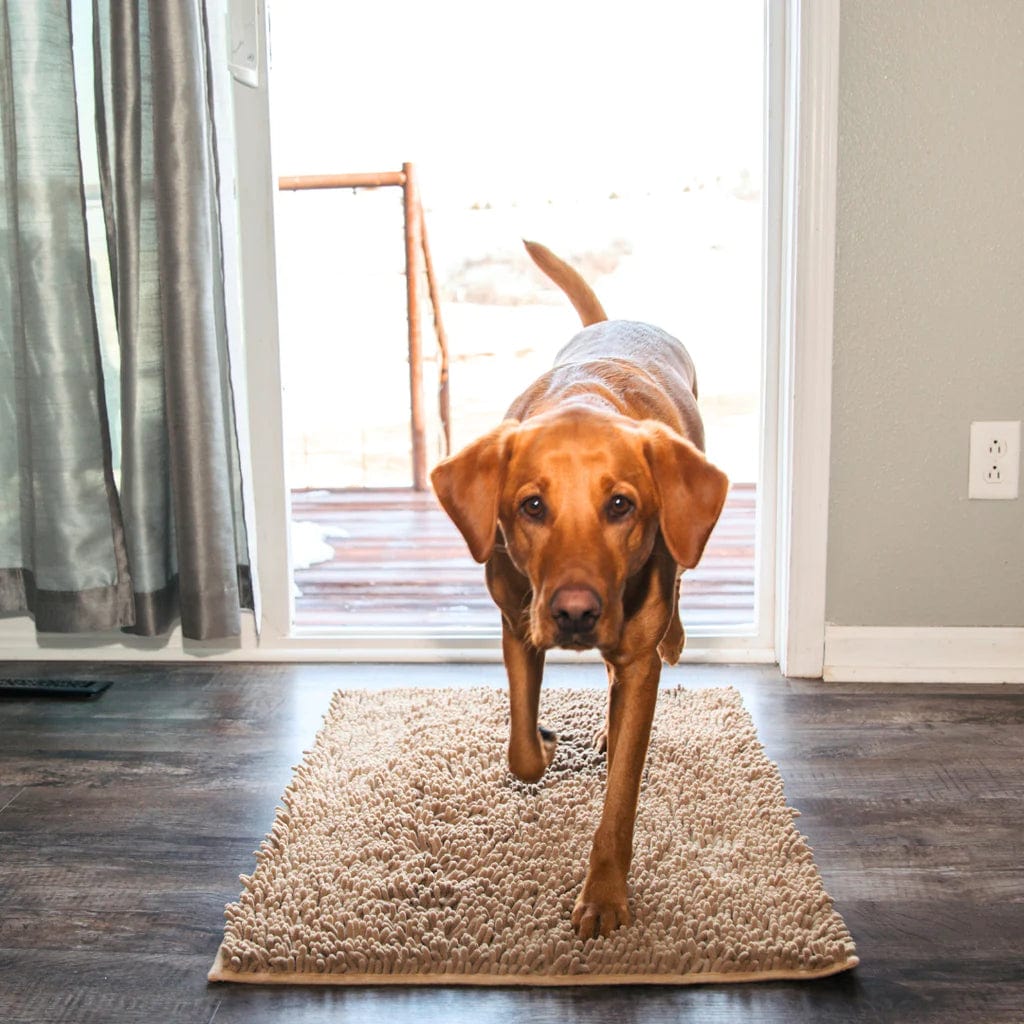 CleanPattoune - The Ultimate Absorbent Dog Mat