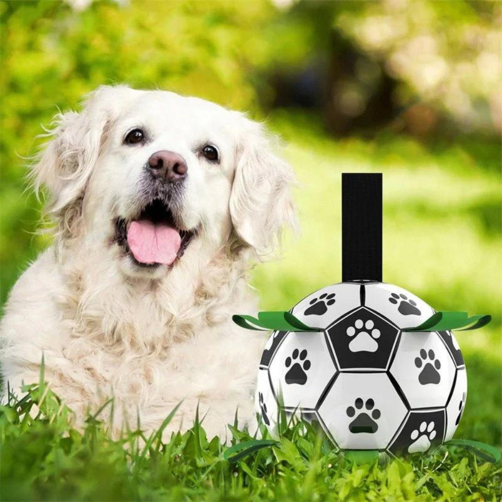 ToughChew • Indestructible Dog Toy - Indestructible Dog Toy - BowLift