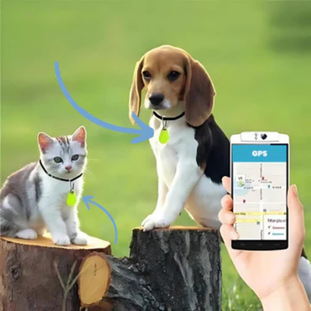 TrackPet • Pet GPS Tracker - Pet GPS Tracker - BowLift