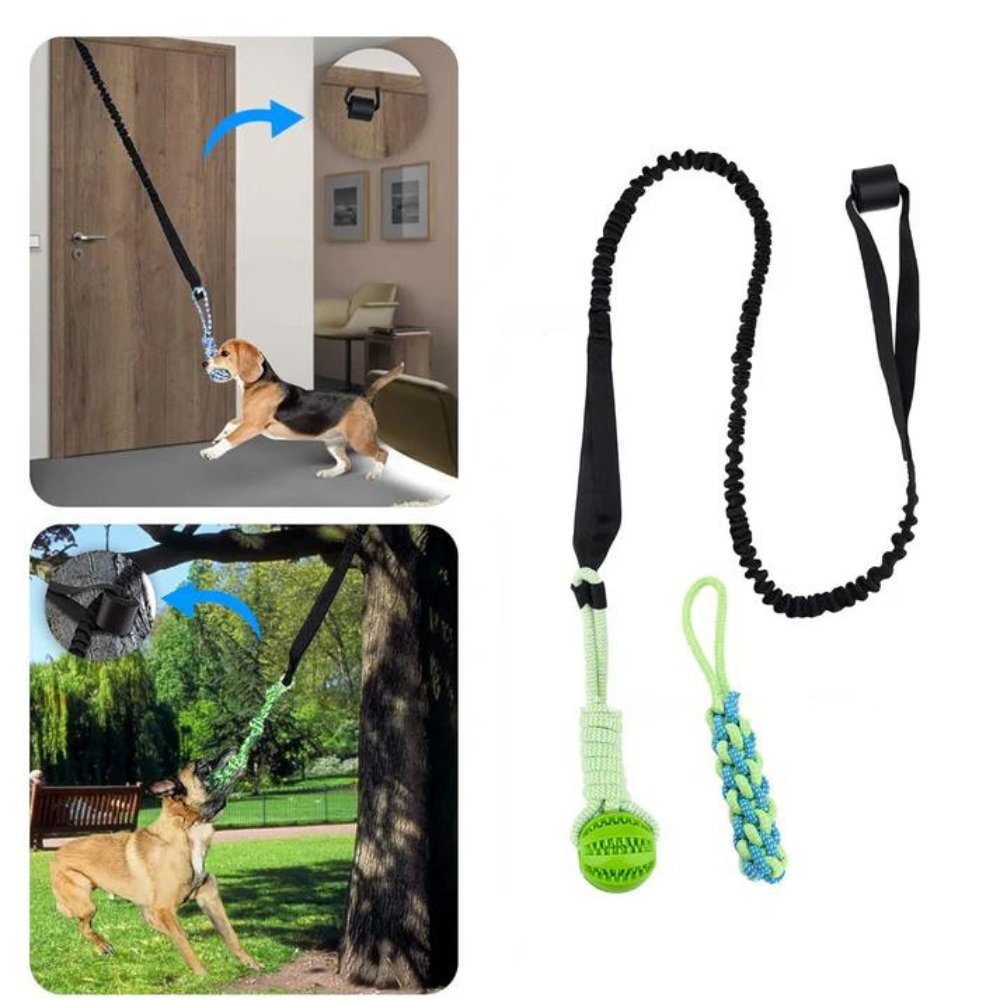 TugDent • Dog Rope Tug Toy - Dog Rope Toy - BowLift