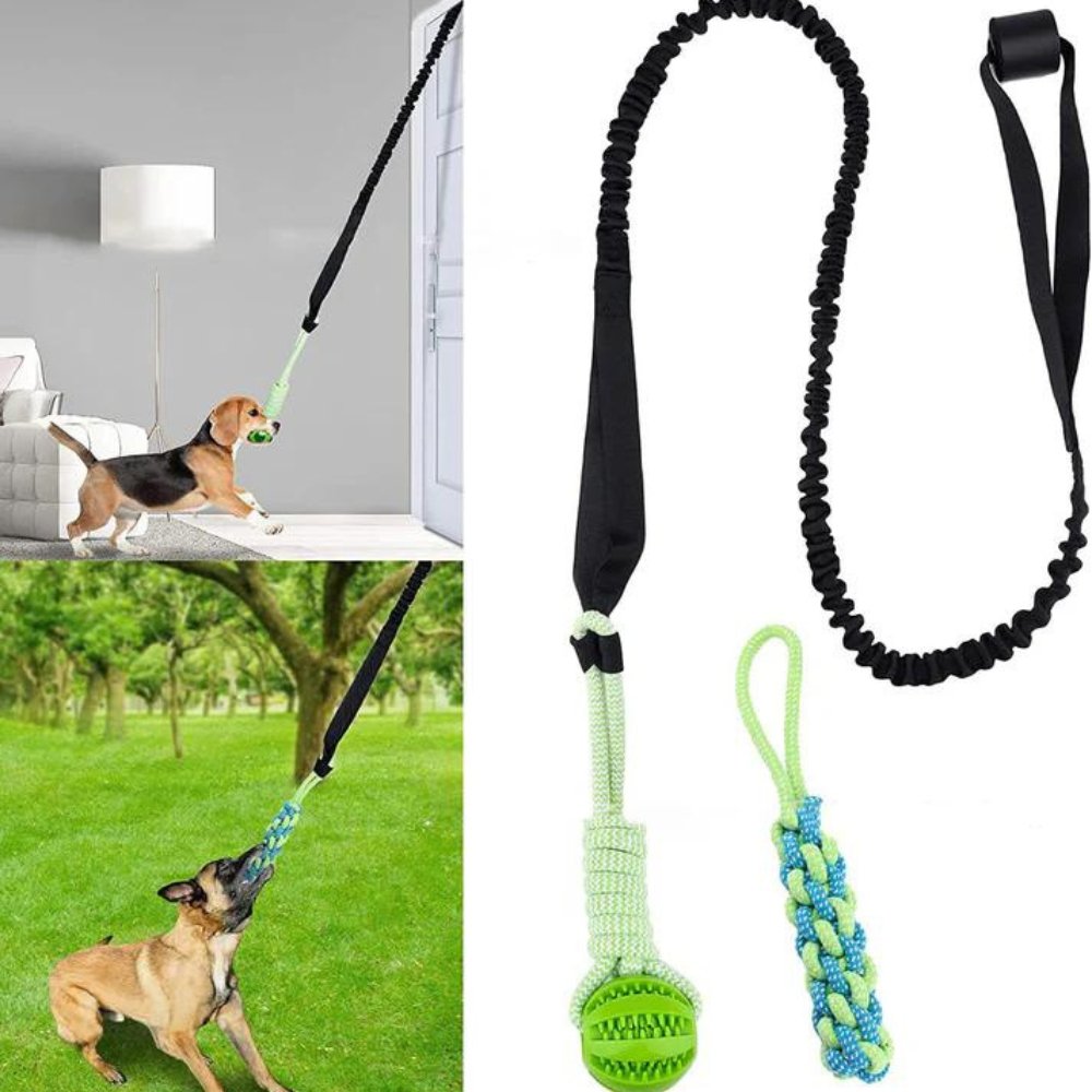 TugDent • Dog Rope Tug Toy - Dog Rope Toy - BowLift