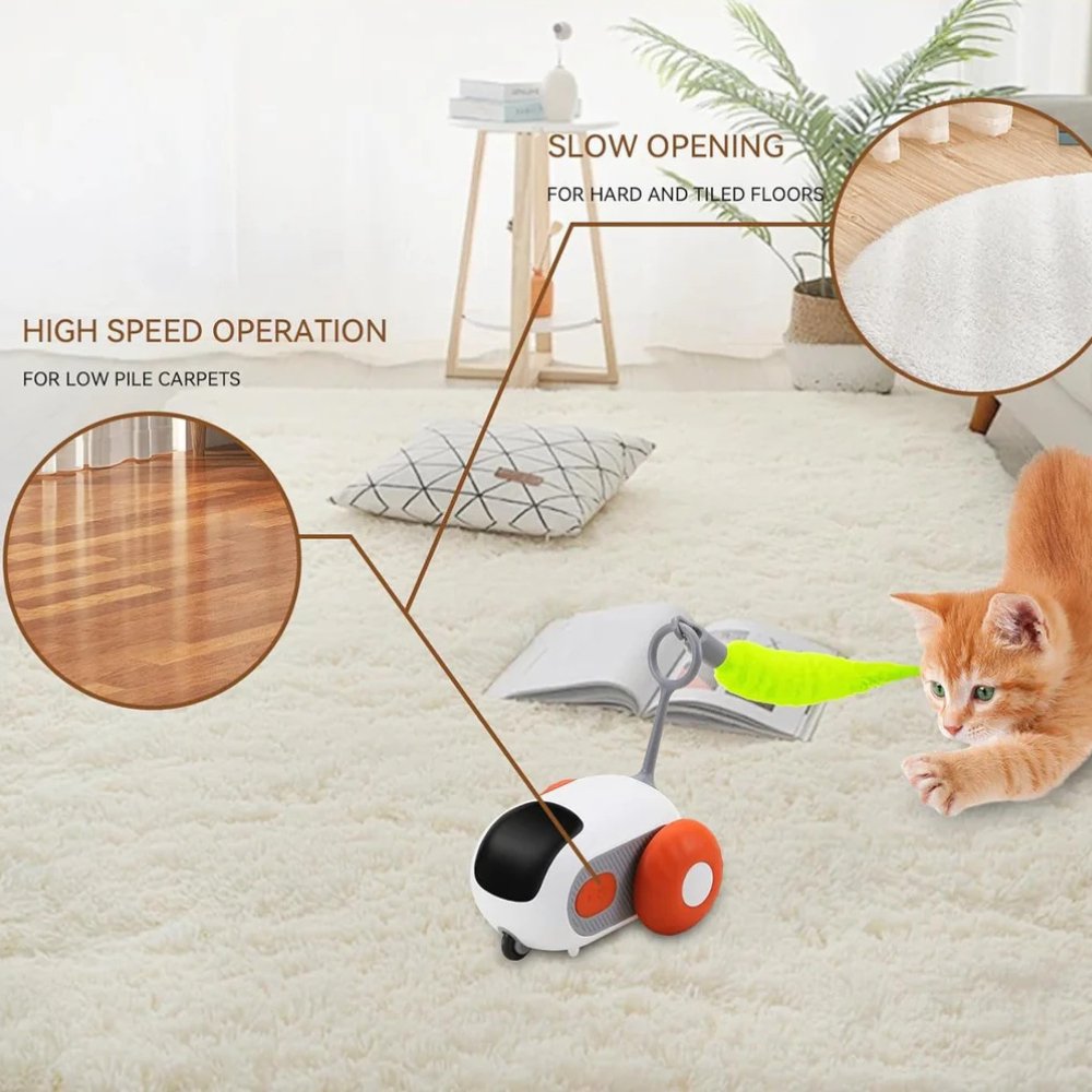 TurboChase • Interactive Cat Chase Toy - Cat Chase Toy - BowLift