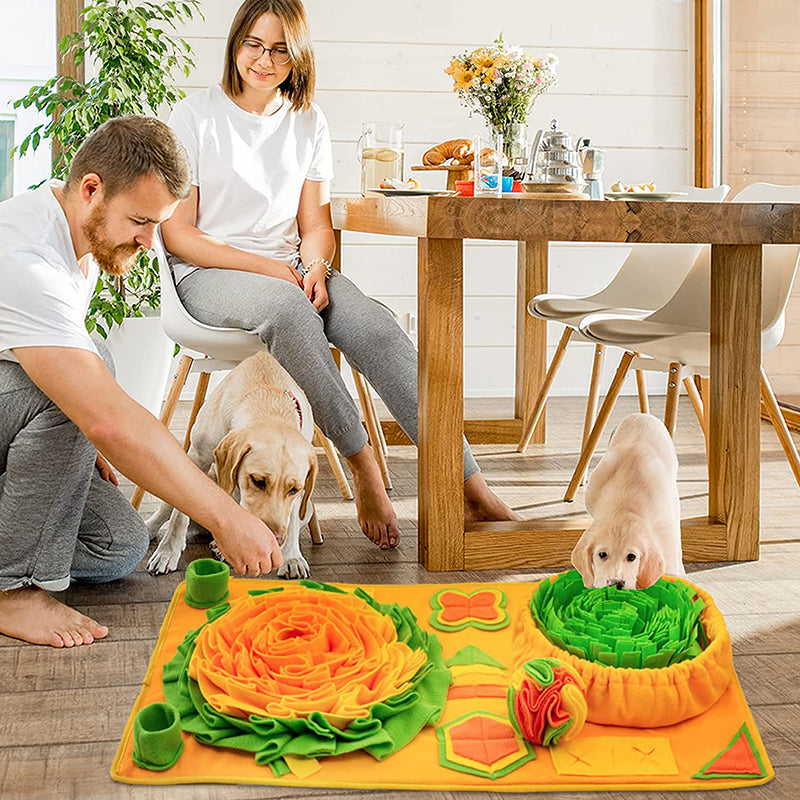 BowLift | Snuffle Mat for Dogs