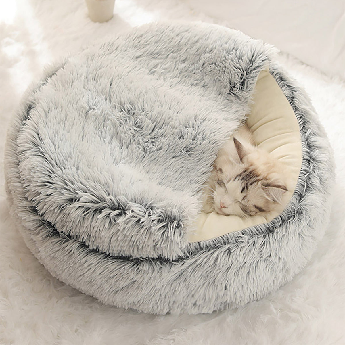 BowLift | ComfyPaws Dreamy Pet Retreat