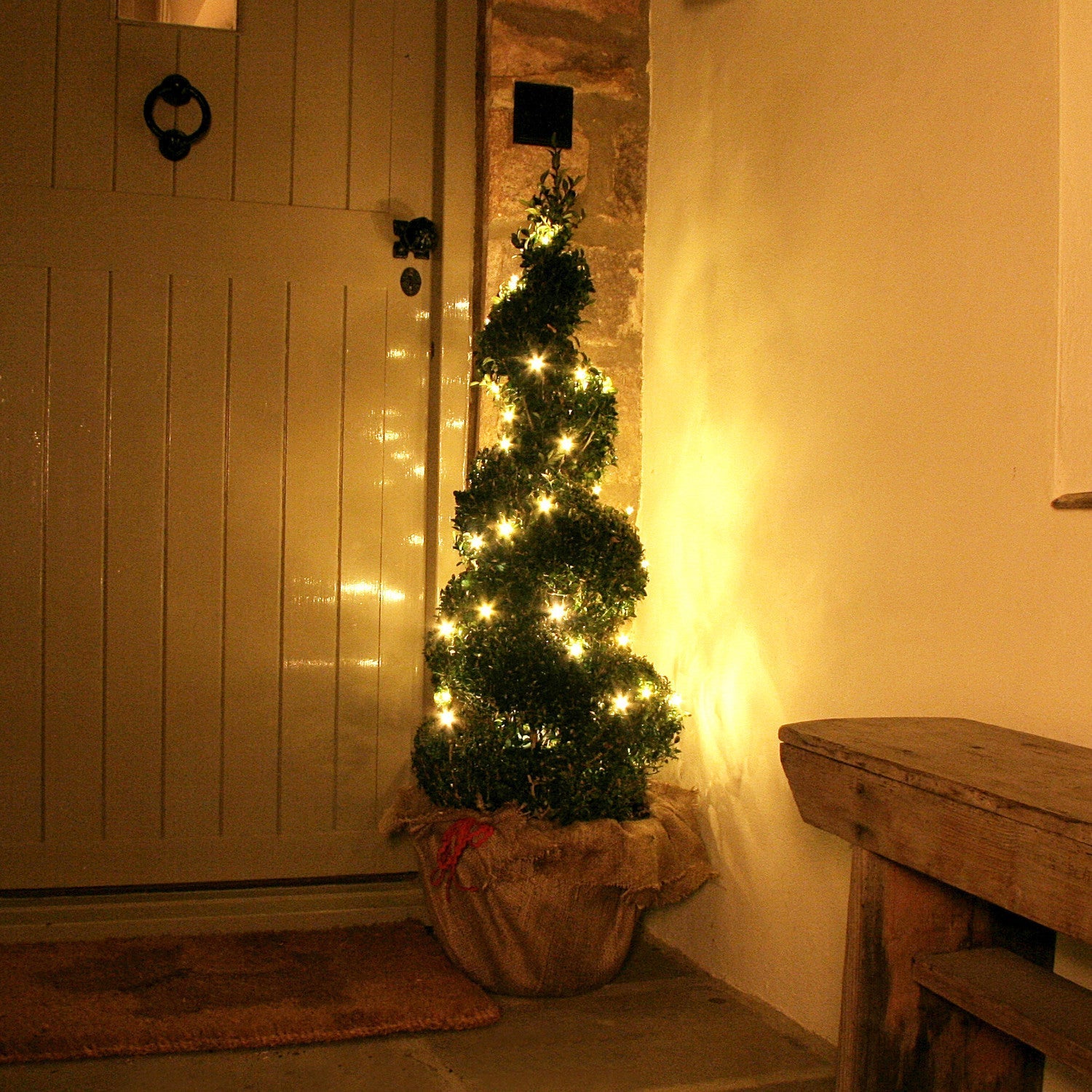 BowLift | Christmas Decorations Warm White Fairy Lights