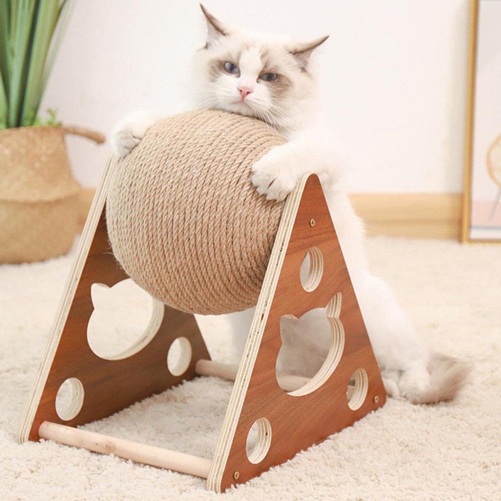 WhiskerBall • Spinning Cat Toy - Spinning Cat Toy - BowLift