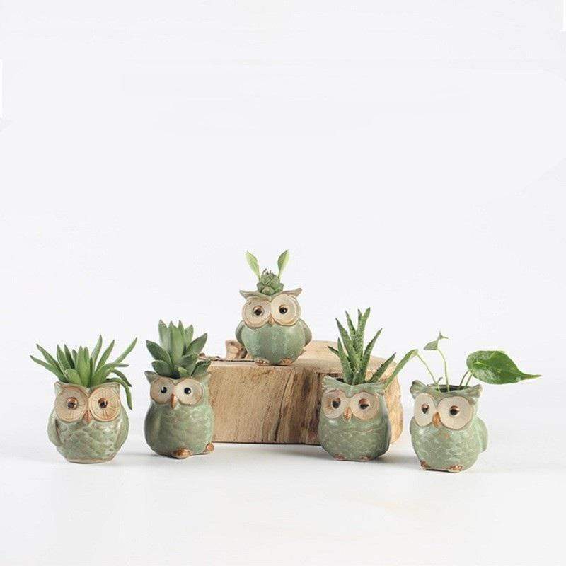 BowLift | Owls Ceramic Flower Pot Set 5-piece