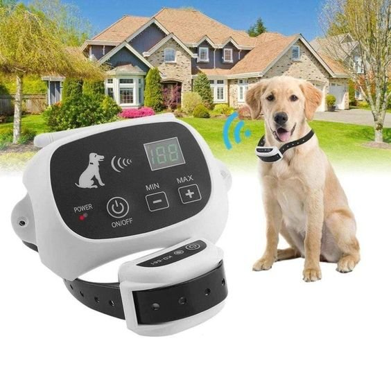 BowLift | Wireless Dog Fence Collar System | Waterproof, Rechargeable & Ideal for Home Training and Outdoor Adventures